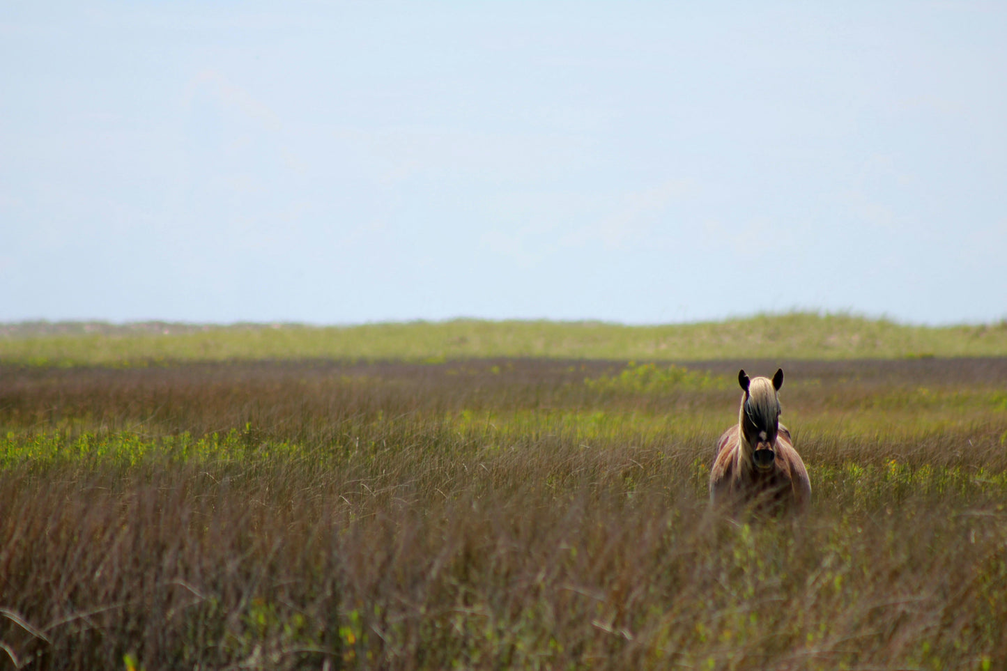 Digital Photo Frame 18